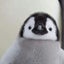 ぺんちゃんのサムネイル