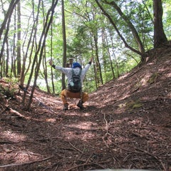 maturibakamanのプロフィール