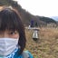 桜咲く春のサムネイル