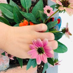 はいねこのプロフィール