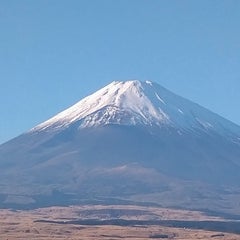 葉音のプロフィール
