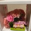 ひしゃりのサムネイル
