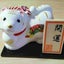 ナマケモノのサムネイル