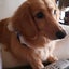 ミフィ子のサムネイル