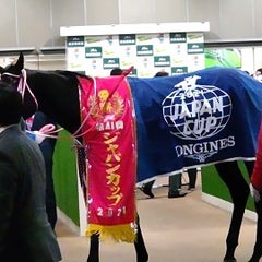競馬仙人（仮）のプロフィール