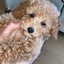 モタのサムネイル
