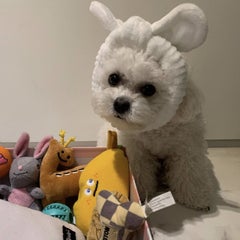 cherryのプロフィール