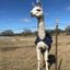 yunaのサムネイル