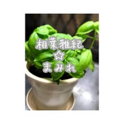 こんぶちゃんのおすすめのサムネイル