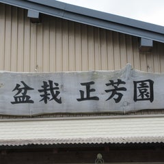 seihouen163のプロフィール