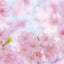 ゆうのサムネイル