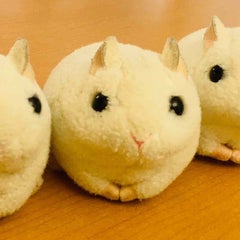 めみのプロフィール