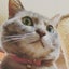 Oliveのサムネイル