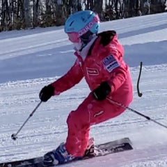 レイリのプロフィール