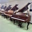 画像 西宮市 川本ピアノ教室のブログのユーザープロフィール画像