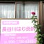 画像 女性専用名古屋市中村区長谷川はり灸院のユーザープロフィール画像
