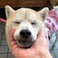 トニーのサムネイル