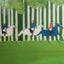 キミドリのサムネイル