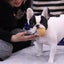 ルミのサムネイル