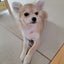 らんのサムネイル