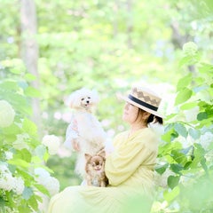 Pet Life Stylist  mayu*のプロフィール