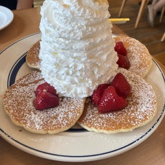 チューリップのプロフィール