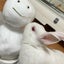 Meのサムネイル