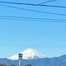 あおい。のプロフィール