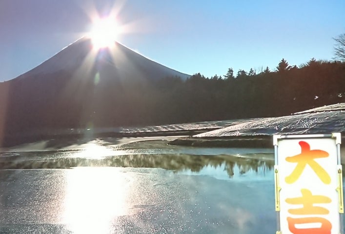 ベルツ水 胆嚢がんになった私