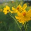自分の治る力を信じようのサムネイル