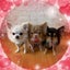 みゆのサムネイル