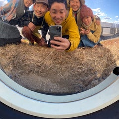 牧一心のプロフィール