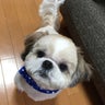 まこけんのプロフィール
