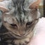 nypartners12のサムネイル