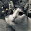 Herbieのサムネイル