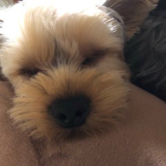 ぴー子のプロフィール