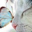 hamuuraraのサムネイル