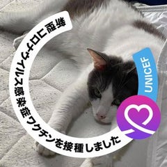 kyのプロフィール