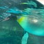 たいみのサムネイル