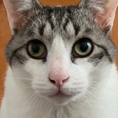 りえもんのプロフィール