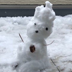 母のプロフィール