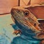 Kou 🐢…のサムネイル