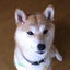 とぐろあにのサムネイル