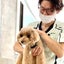 画像 保護犬と保護猫のトラウマセラピーのユーザープロフィール画像