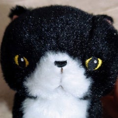 ankoメイドのプロフィール