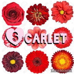 SCARLETダンス教室 のえるのプロフィール