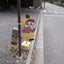 ３６たろう（さんじゅうろくたろう）のサムネイル