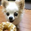 a♡のサムネイル