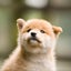 ひでとろのサムネイル