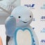 h3po4sanのサムネイル